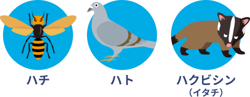 ハチ・ハト・ハクビシン（イタチ）などにお困りの方