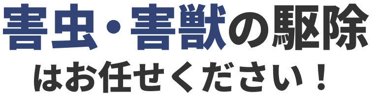 害虫・害獣の駆除はジェットクリーンにお任せください！